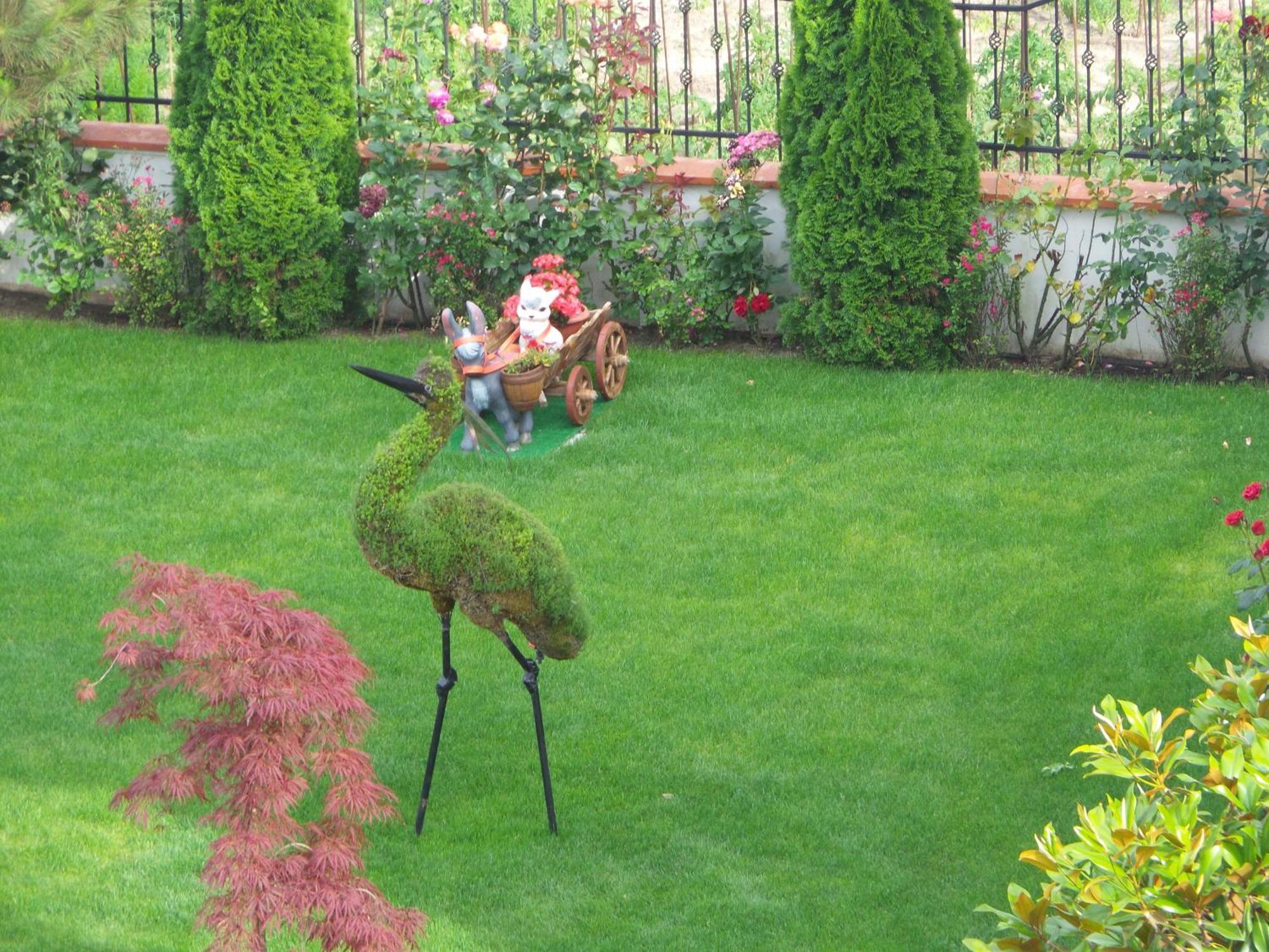 Hotel Paradise Złote Piaski Zewnętrze zdjęcie
